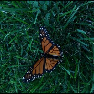 Meet your Posher, Emma